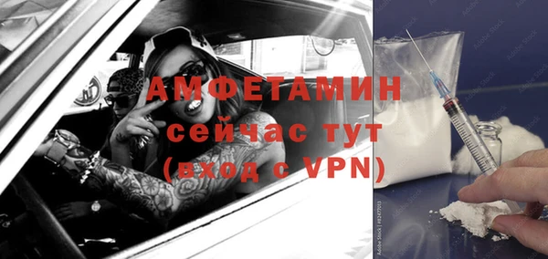 хмурый Вяземский