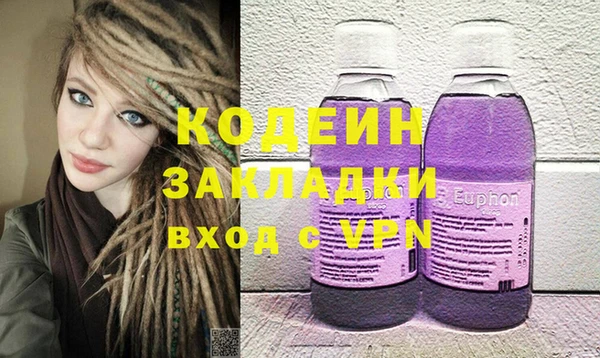 хмурый Вяземский