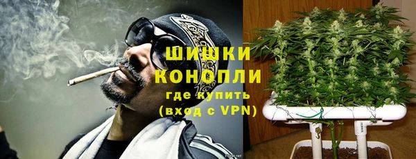 хмурый Вяземский