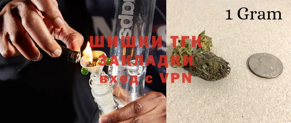 хмурый Вяземский