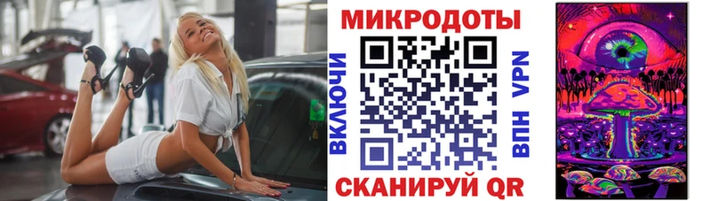 закладки  Чулым  гидра ТОР  Псилоцибиновые грибы Psilocybine cubensis 